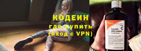 спиды Вяземский