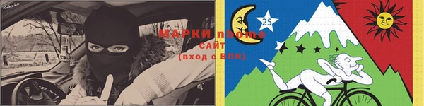спиды Вяземский