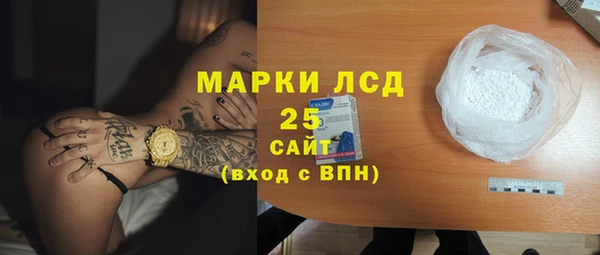 спиды Вяземский
