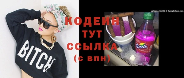 спиды Вяземский