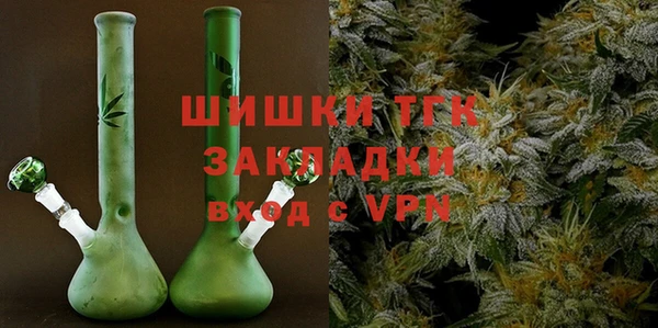 спиды Вяземский
