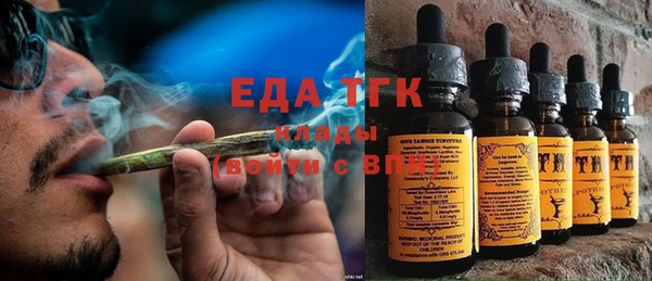 спиды Вяземский