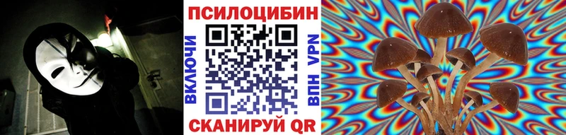 где продают   Шумерля  Галлюциногенные грибы мухоморы 