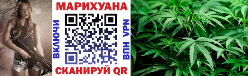 МАРИХУАНА сатива  наркотики  Шумерля 